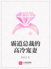 霸道总裁的高冷宠妻