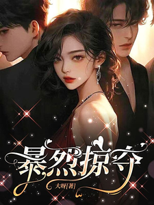 暴烈掠夺